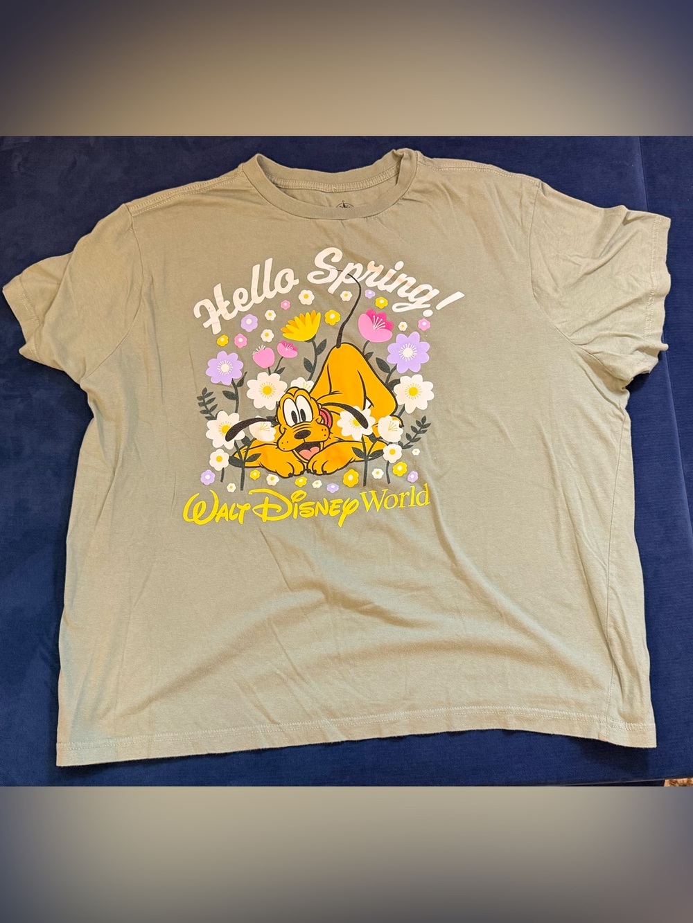 Disney Parks Pluto Hello Spring Olive Green Graphic T-Shirt 2XL Adult